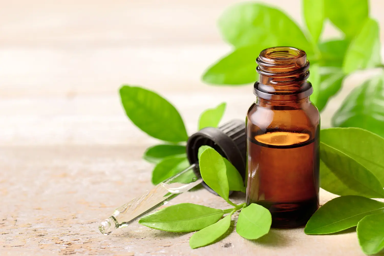 Petitgrain Essential Oil & Invisible Bug You’s